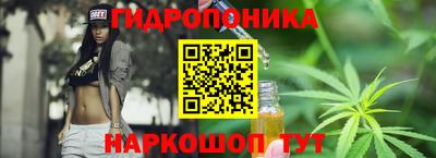 гашик Новозыбков
