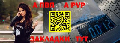 гашик Новозыбков