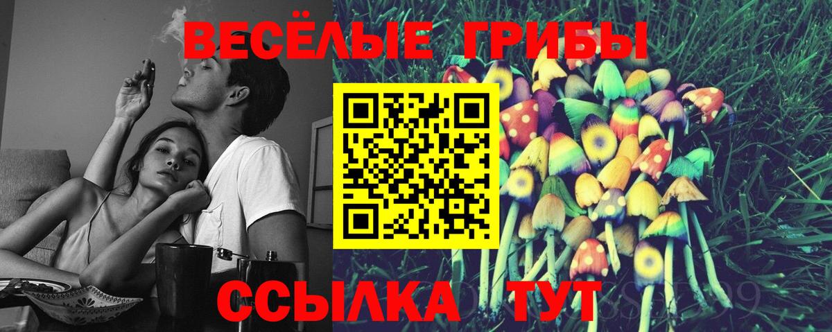 Галлюциногенные грибы прущие грибы Аша